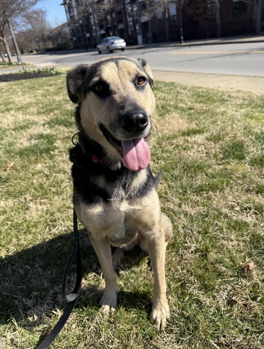 Screenshot 2026-04-14 at 7.27.04 PM.png