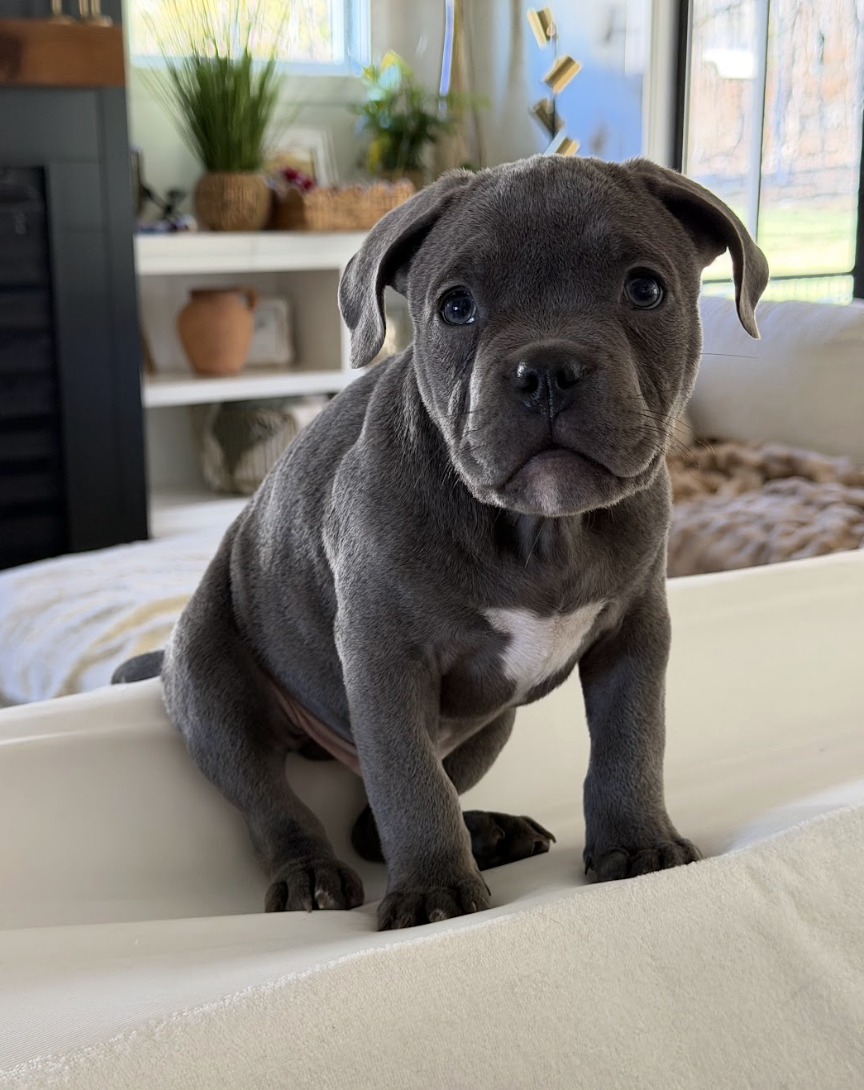 Screenshot 2026-02-26 at 8.43.25 PM.png