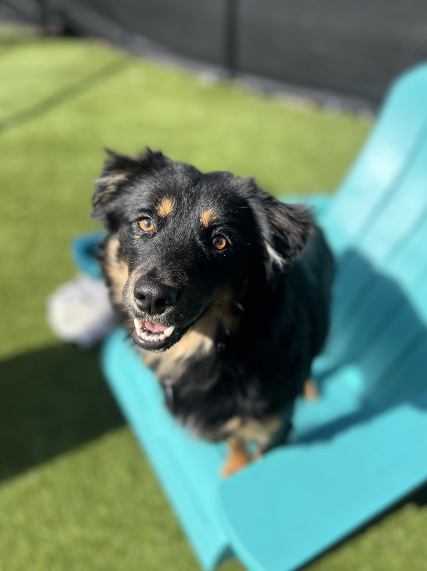 Screenshot 2026-02-12 at 2.05.24 PM.png