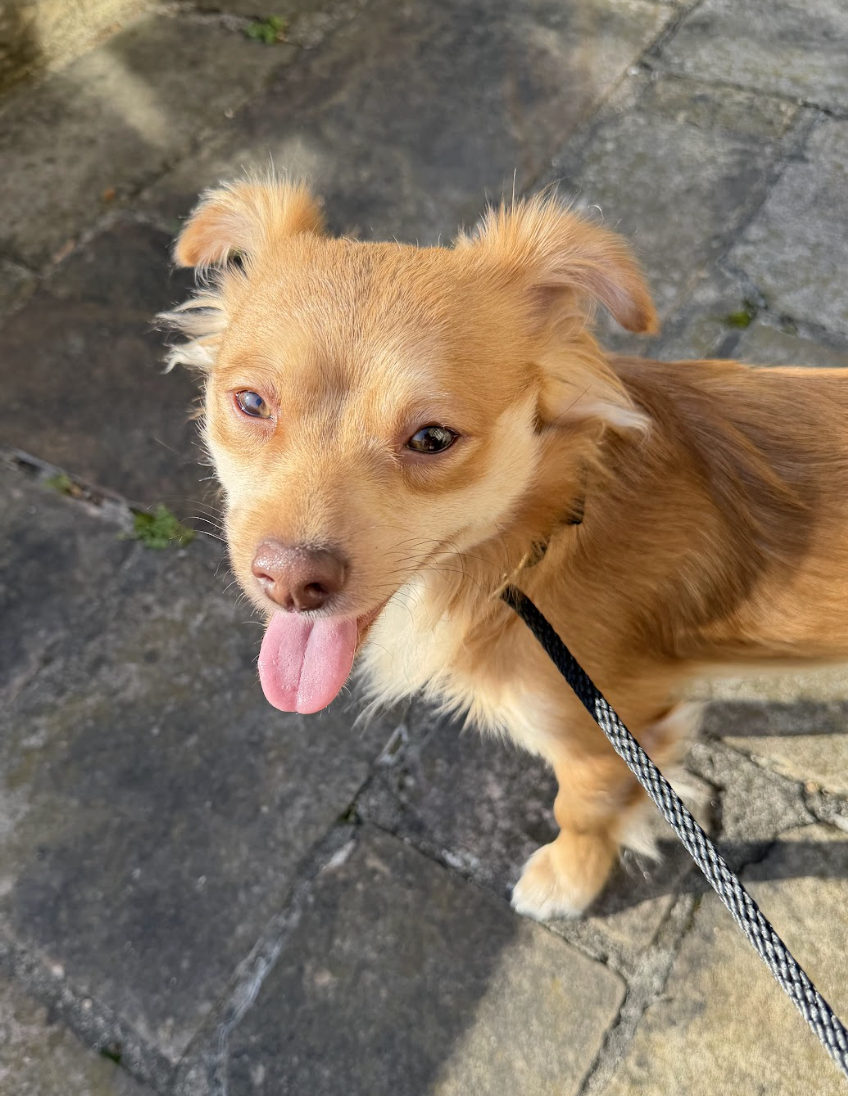 Screenshot 2026-03-21 at 2.13.46 PM.png