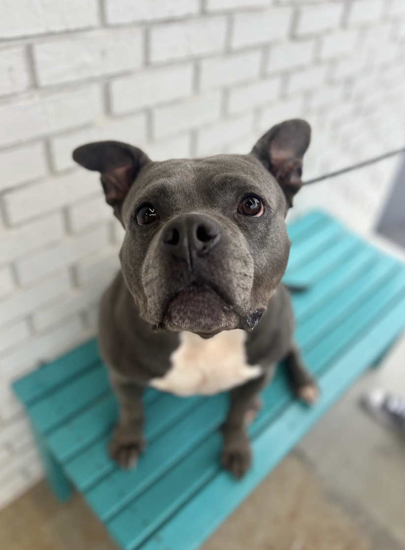 Screenshot 2026-01-15 at 1.38.49 PM.png