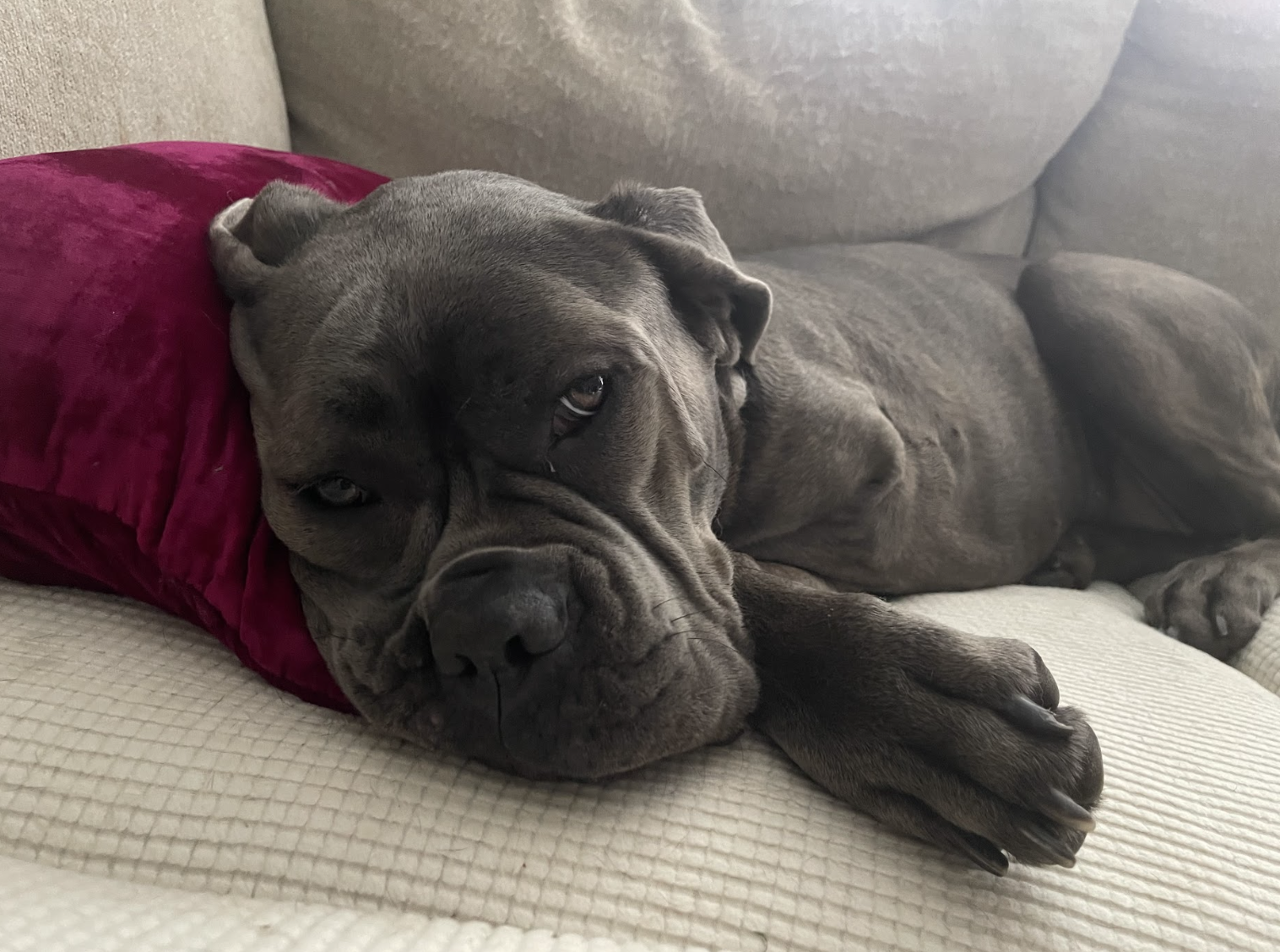 Screenshot 2026-04-22 at 2.57.09 PM.png