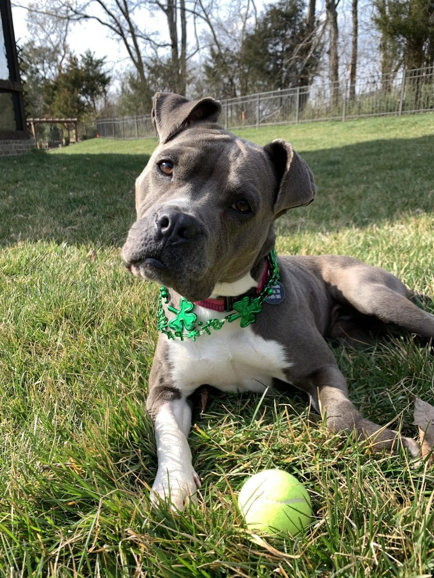 Screenshot 2026-04-03 at 3.00.59 PM.png