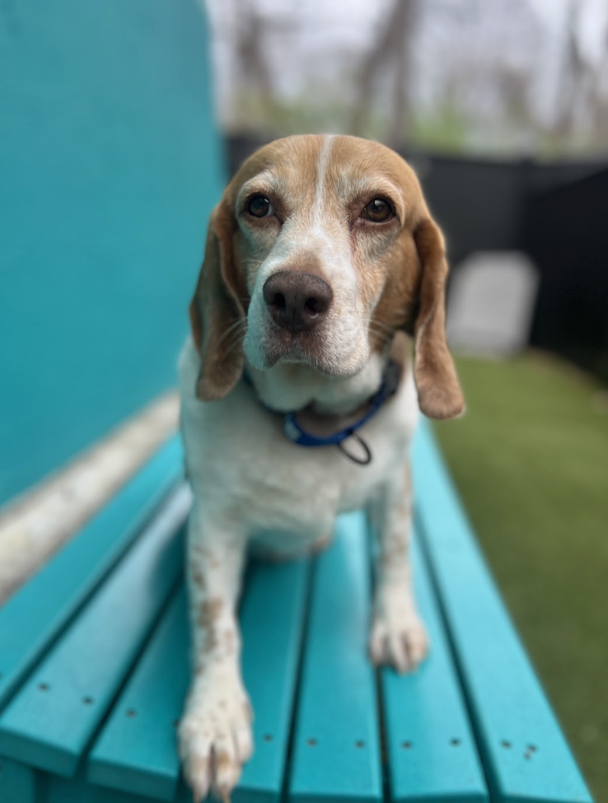 Screenshot 2026-03-11 at 6.32.03 PM.png