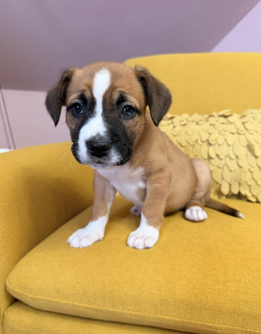 Screenshot 2026-03-27 at 7.40.49 PM.png