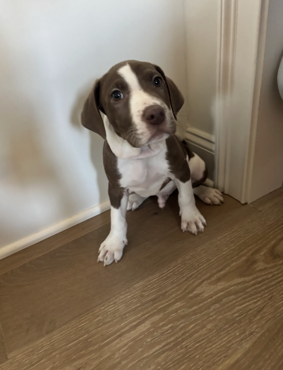 Screenshot 2026-01-02 at 12.50.53 PM.png