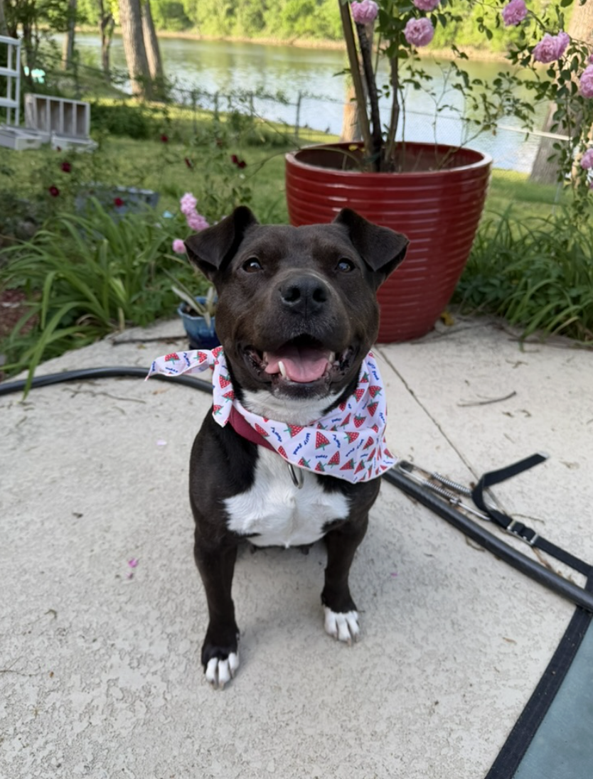 Screenshot 2026-04-22 at 5.53.23 PM.png