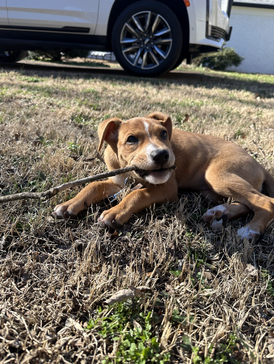 Screenshot 2026-01-14 at 9.31.36 PM.png