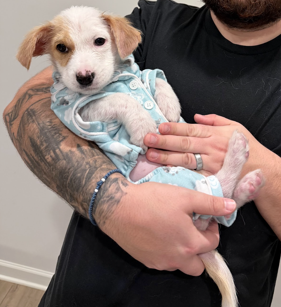 Screenshot 2026-02-20 at 4.35.56 PM.png