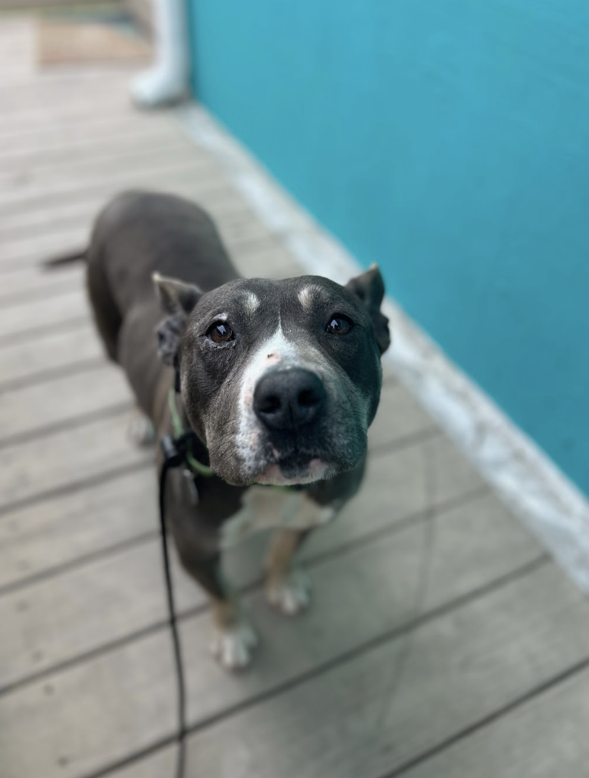 Screenshot 2026-03-26 at 2.16.23 PM.png