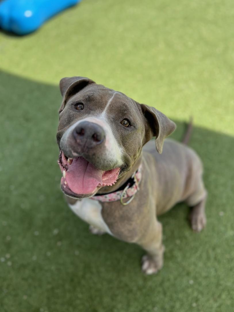 Screenshot 2026-03-26 at 2.42.40 PM.png