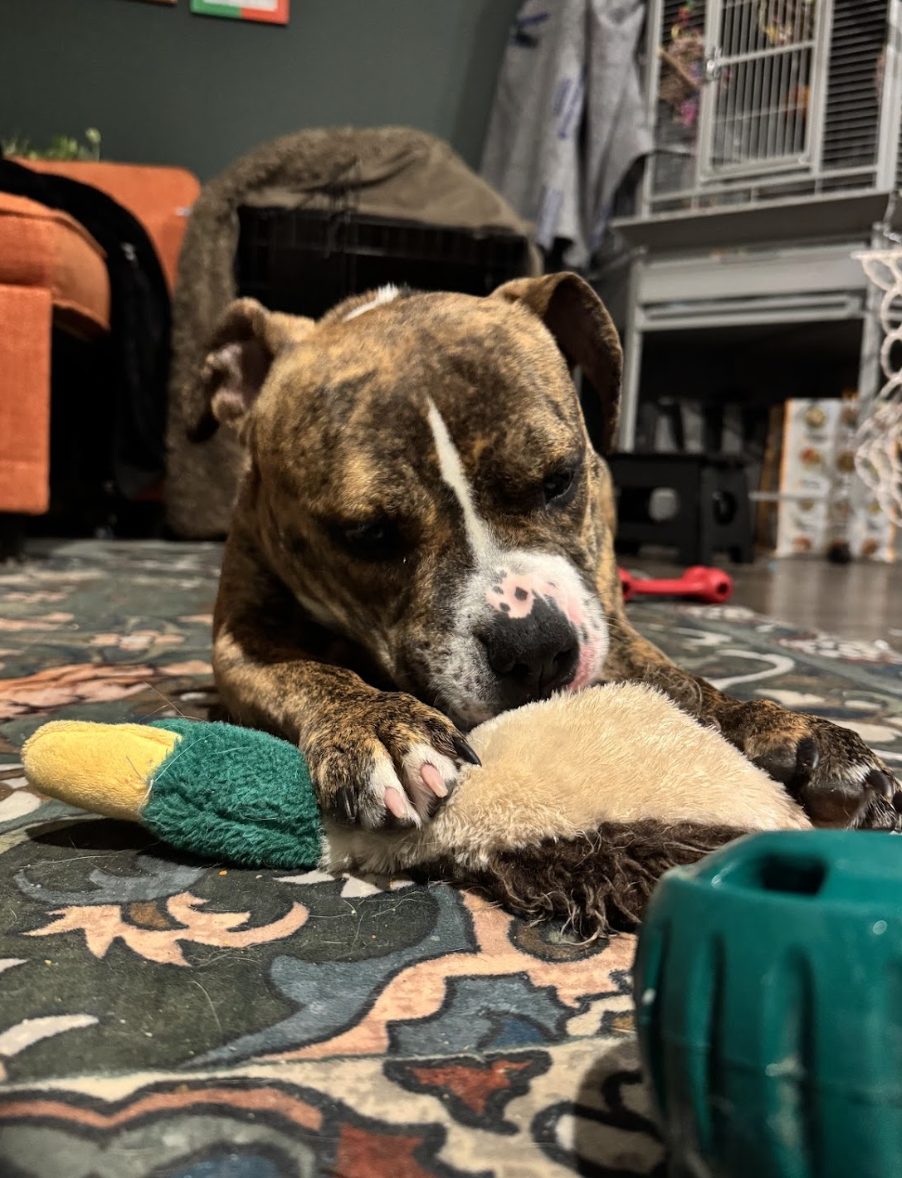 Screenshot 2026-01-14 at 9.16.32 PM.png