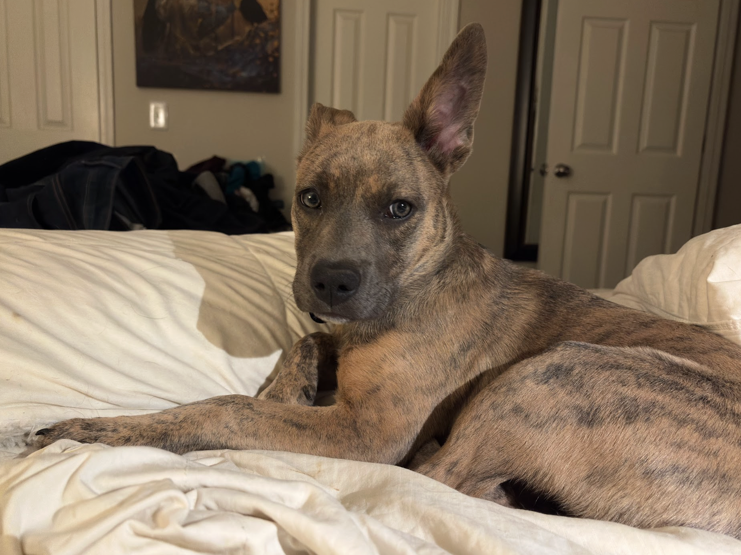 Screenshot 2026-04-03 at 2.27.40 PM.png