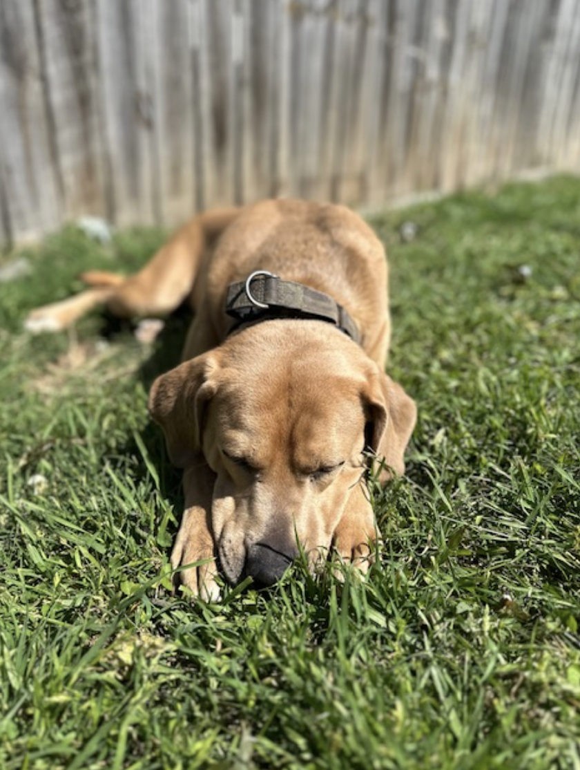 Screenshot 2026-04-22 at 5.19.31 PM.png