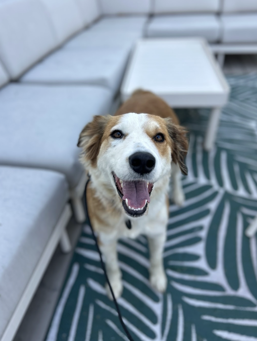 Screenshot 2026-03-14 at 5.02.08 PM.png