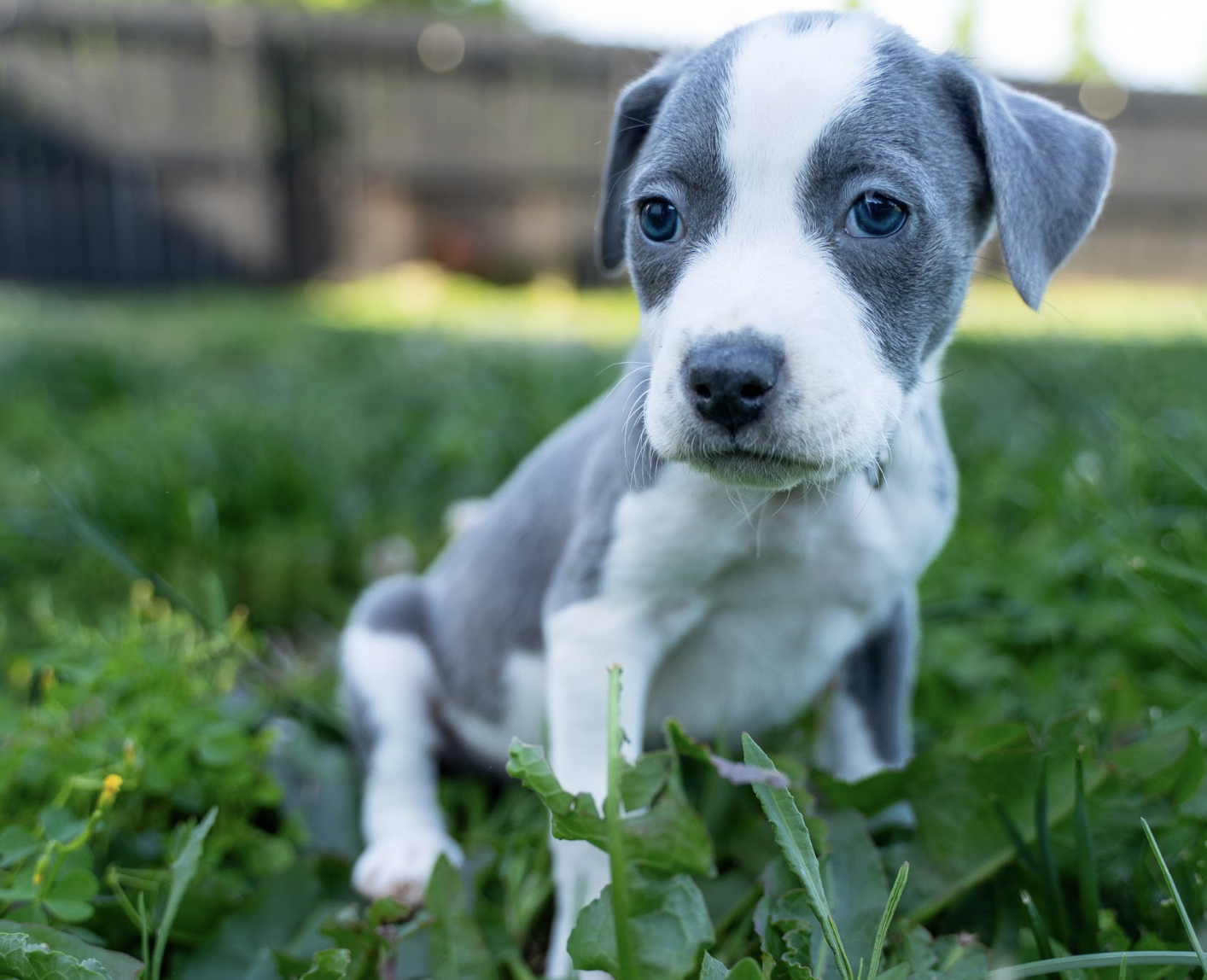 Screenshot 2026-04-23 at 2.20.00 PM.png