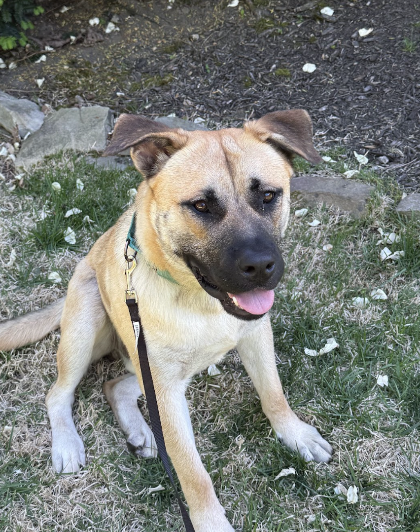 Screenshot 2026-04-22 at 3.12.17 PM.png