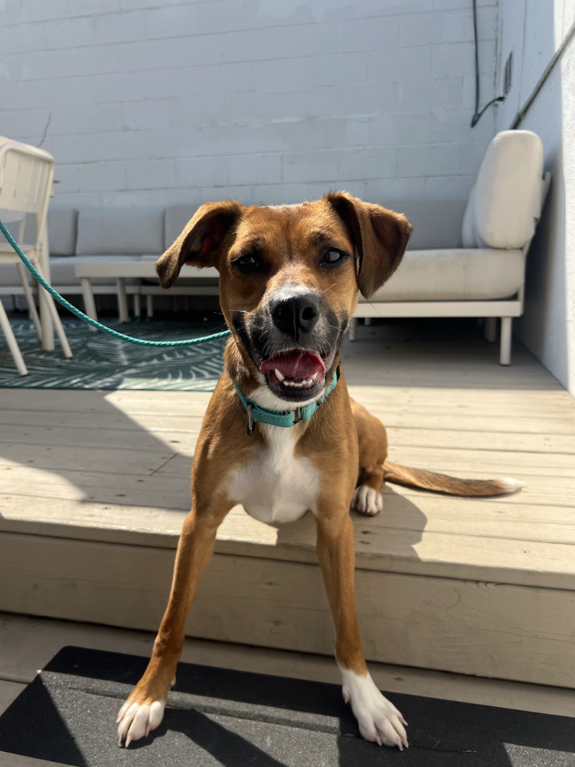 Screenshot 2026-04-13 at 2.55.55 PM.png