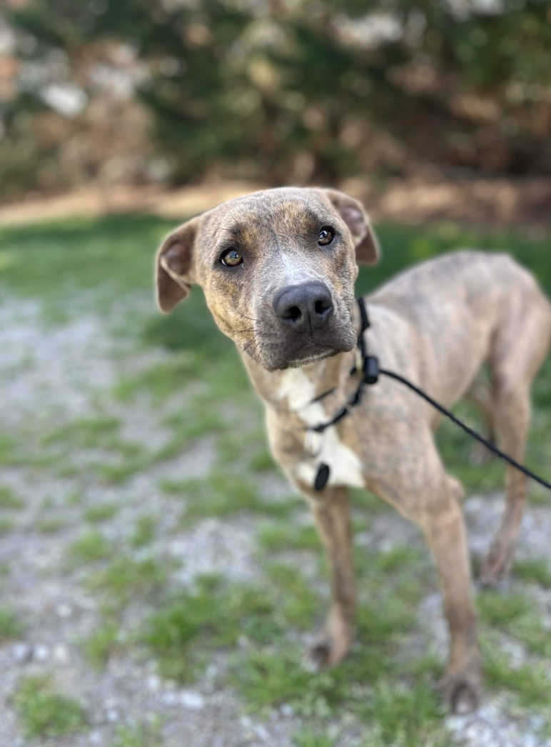 Screenshot 2026-03-26 at 3.08.56 PM.png