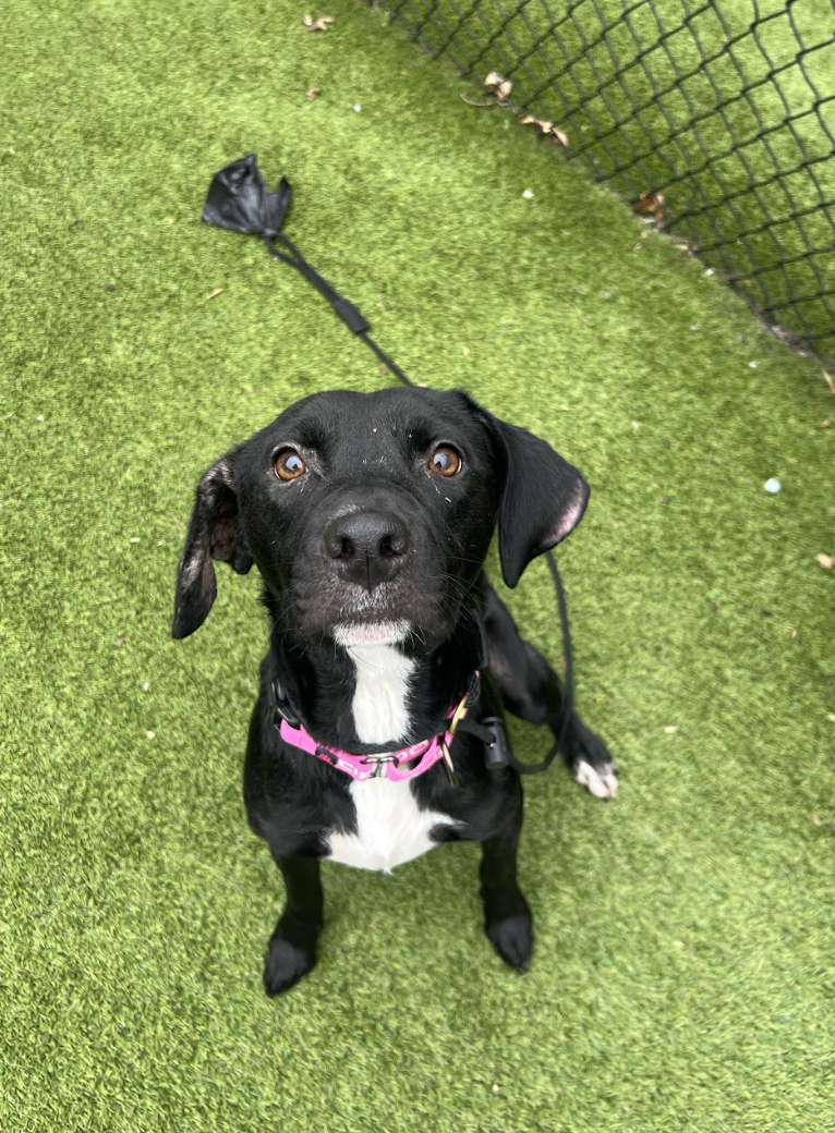 Screenshot 2026-02-05 at 2.29.35 PM.png