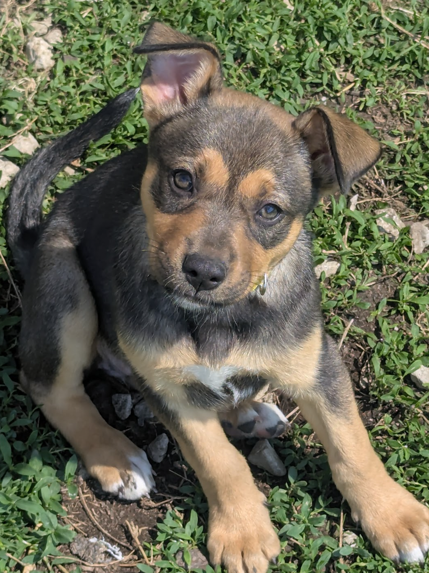 Screenshot 2026-04-23 at 7.30.19 PM.png