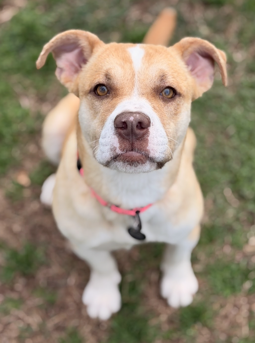 Screenshot 2026-03-18 at 4.27.33 PM.png