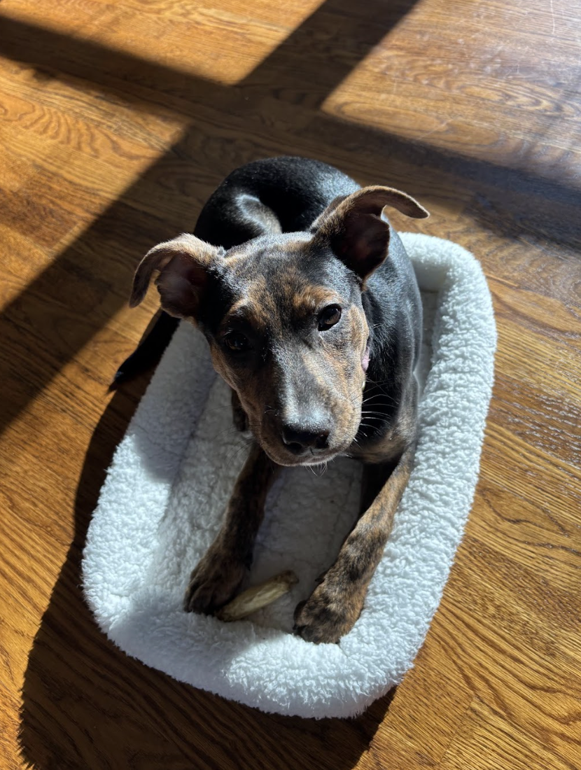 Screenshot 2026-01-08 at 1.50.07 PM.png