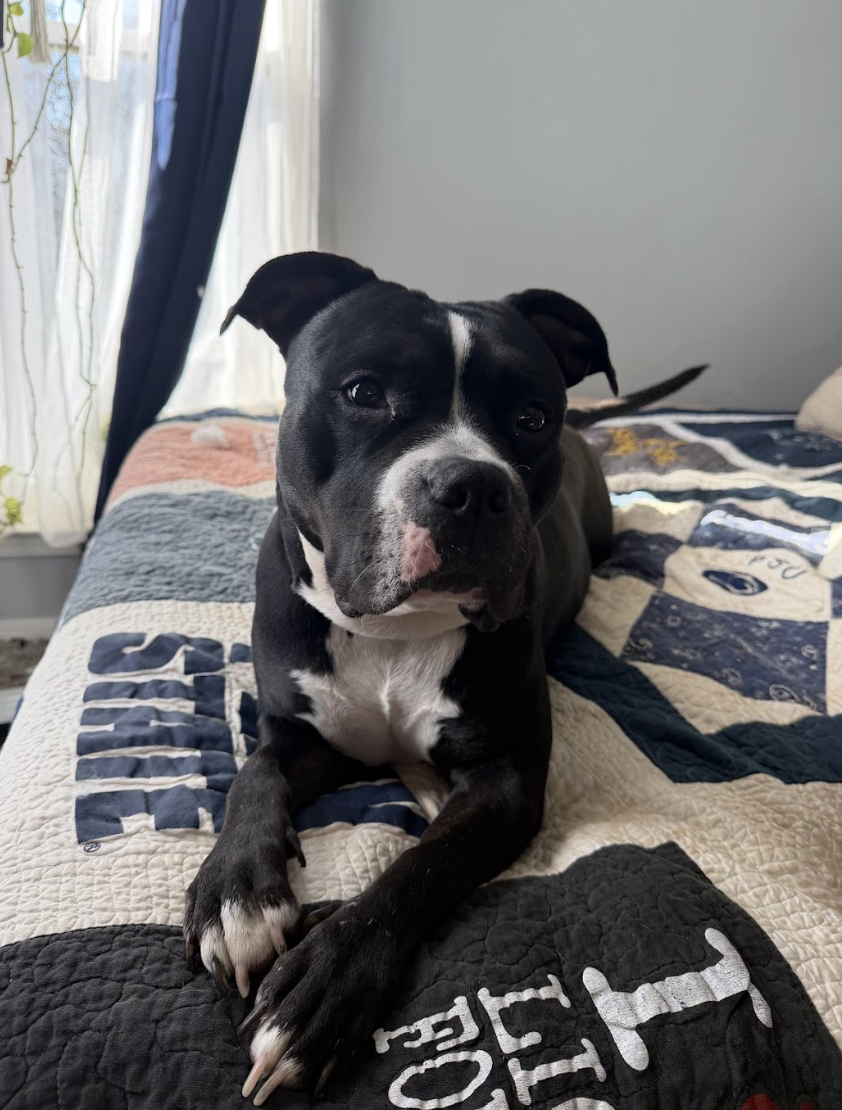 Screenshot 2026-02-26 at 2.21.11 PM.png