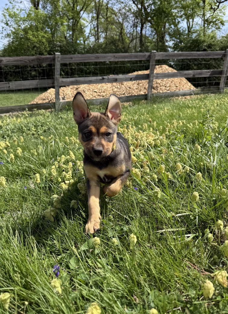 Screenshot 2026-04-23 at 7.30.02 PM.png