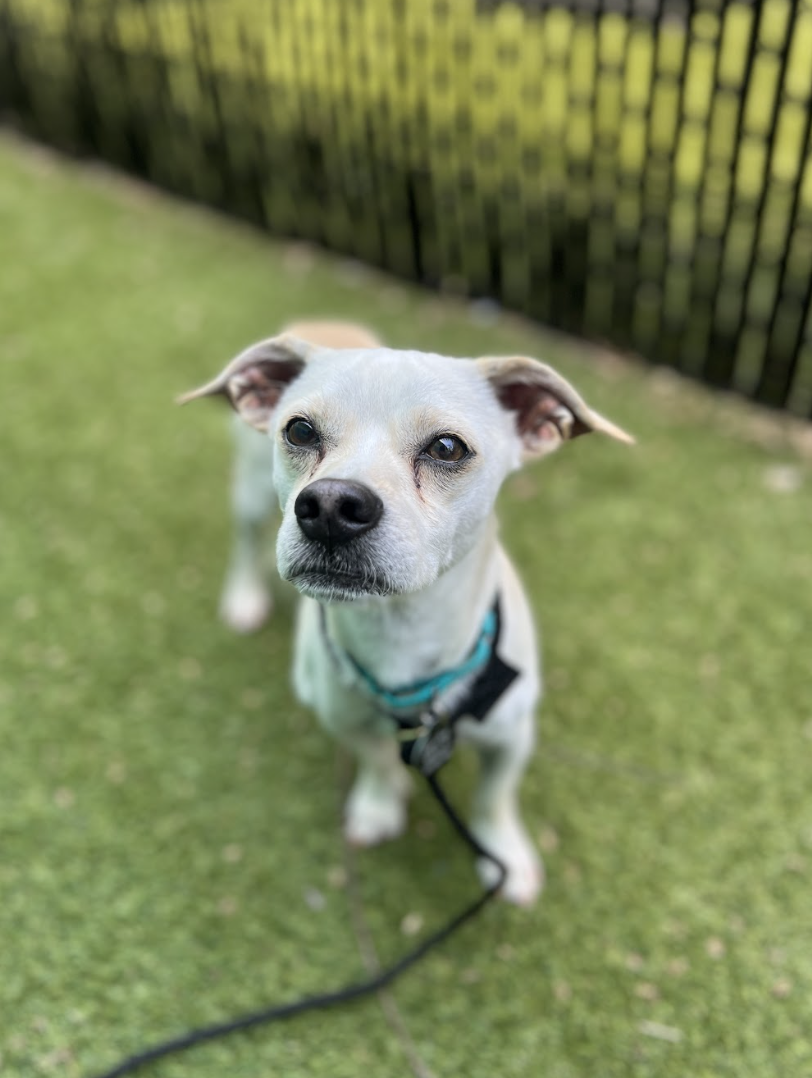 Screenshot 2026-04-09 at 6.47.10 PM.png