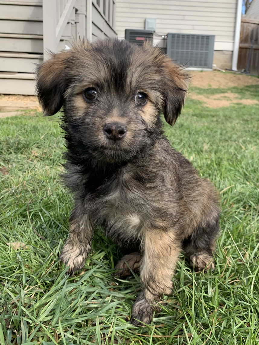 Screenshot 2026-01-17 at 2.55.24 PM.png