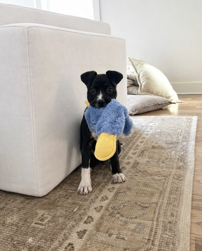 Screenshot 2026-04-03 at 1.22.39 PM.png