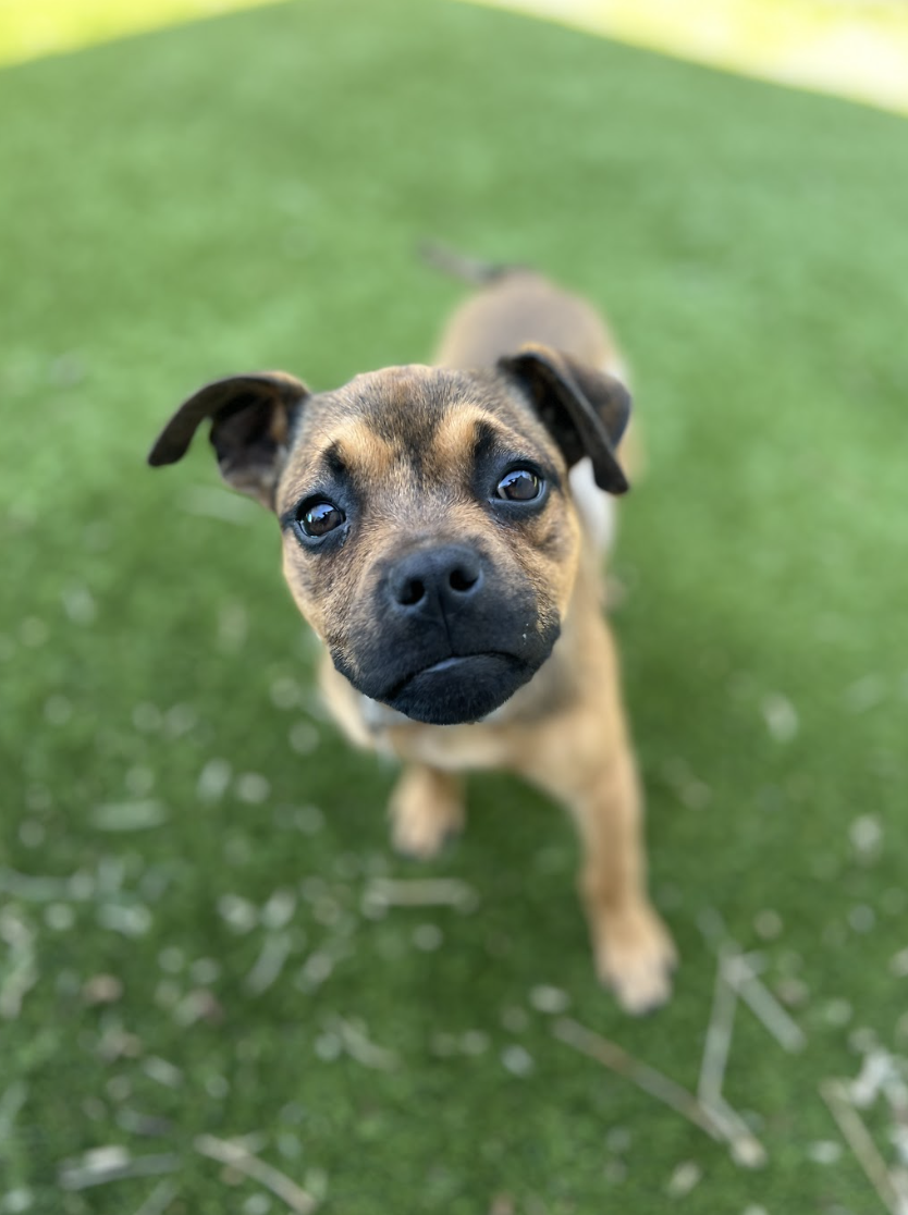 Screenshot 2026-03-26 at 2.55.48 PM.png