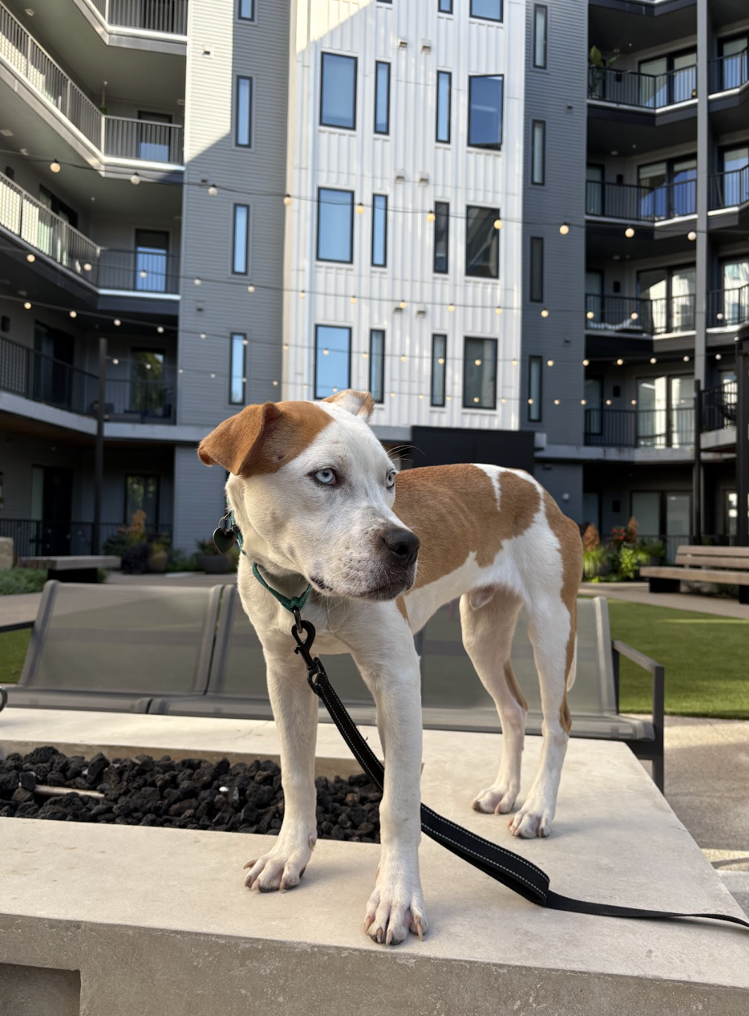 Screenshot 2025-10-16 at 5.00.48 PM.png