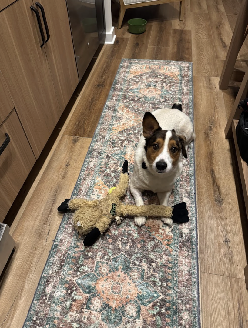 Screenshot 2026-01-06 at 1.28.30 PM.png