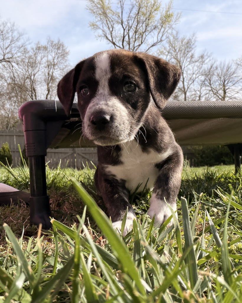 Screenshot 2026-03-27 at 7.55.24 PM.png