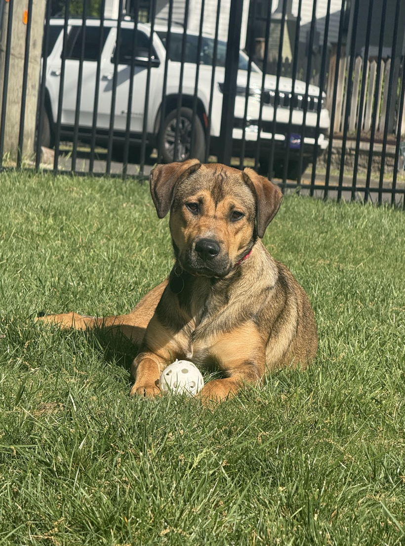 Screenshot 2026-04-22 at 4.23.23 PM.png