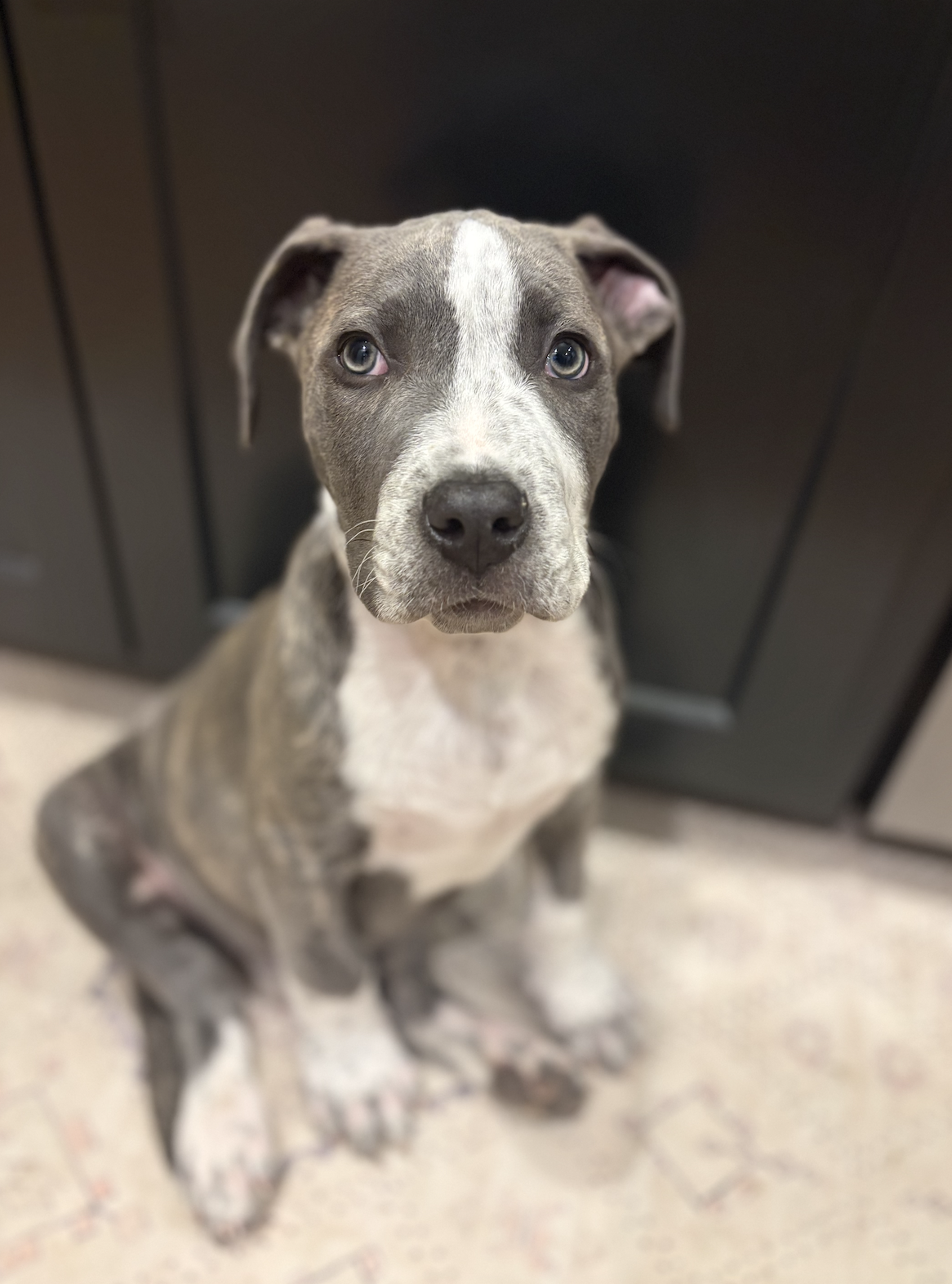 Screenshot 2025-12-21 at 12.18.14 PM.png