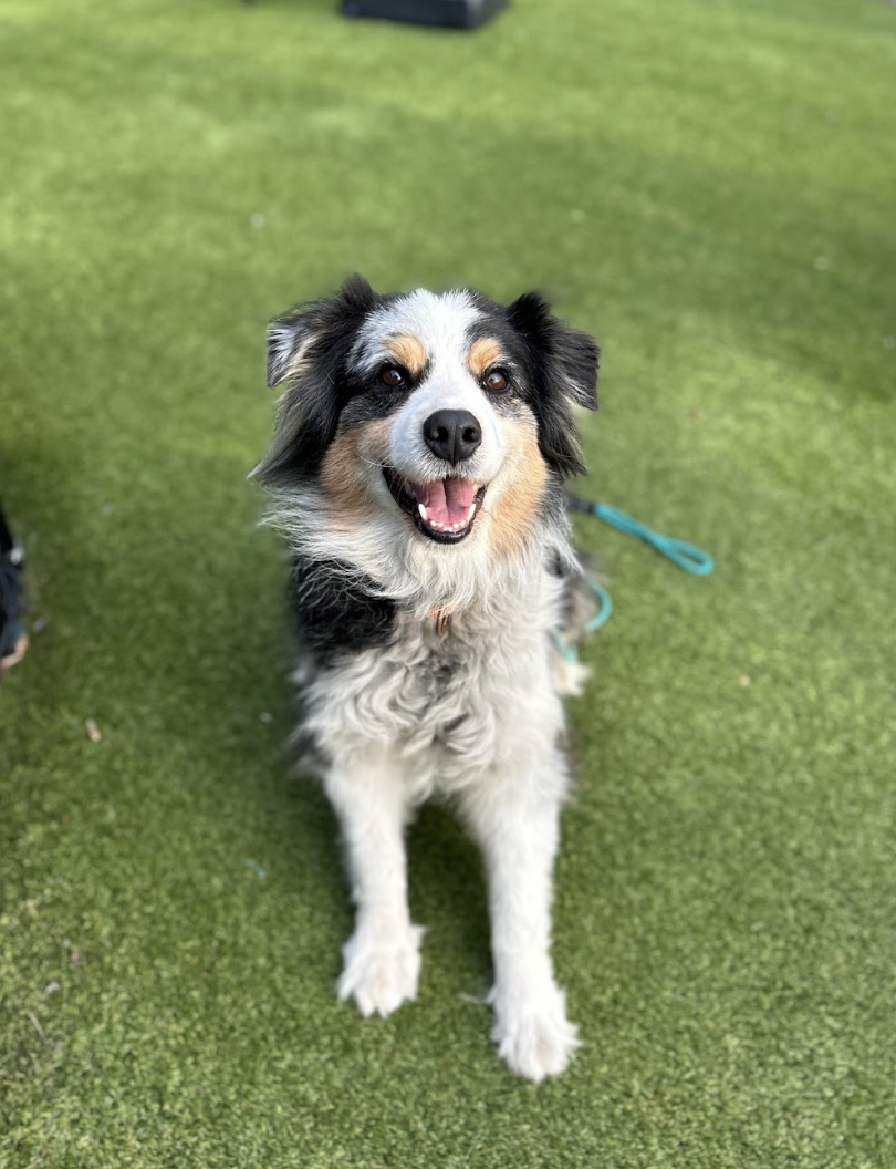 Screenshot 2026-03-05 at 2.26.09 PM.png