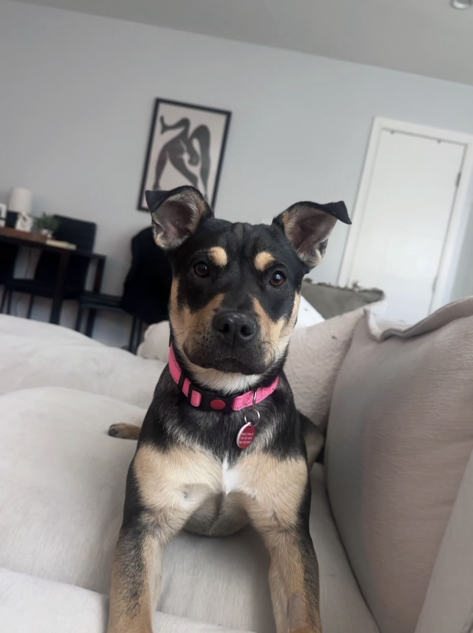 Screenshot 2026-01-21 at 6.45.03 PM.png