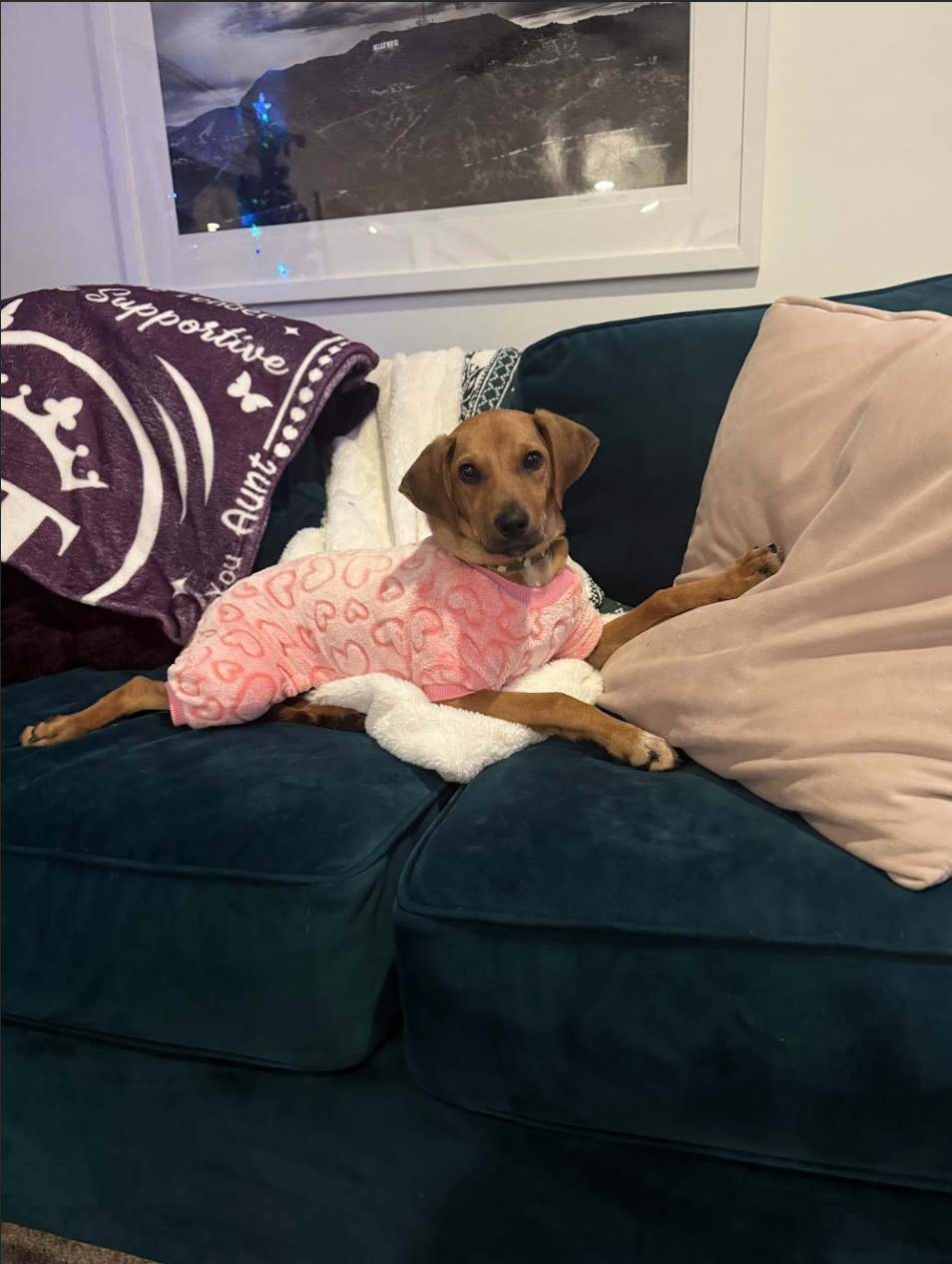 Screenshot 2025-12-26 at 11.15.16 AM.png