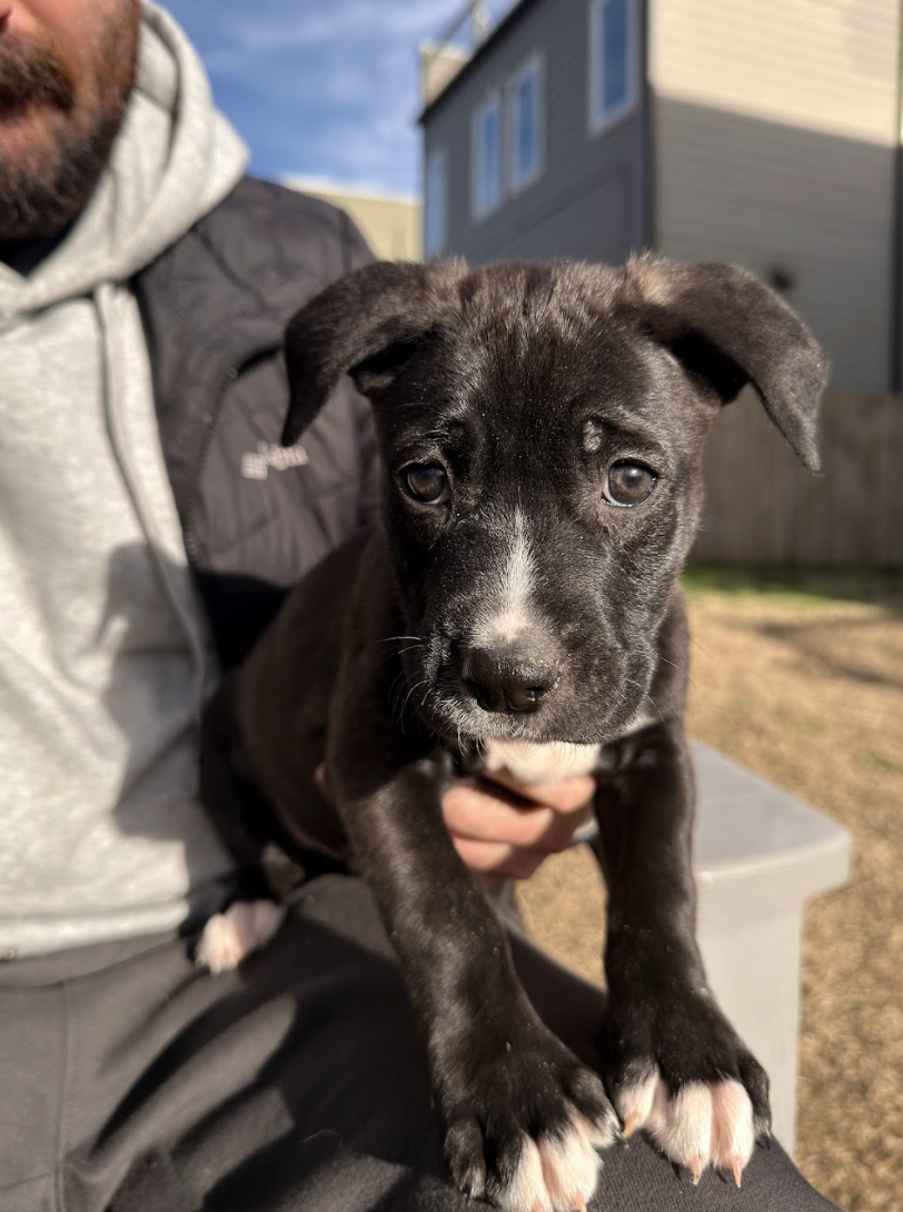 Screenshot 2026-03-20 at 3.02.03 PM.png