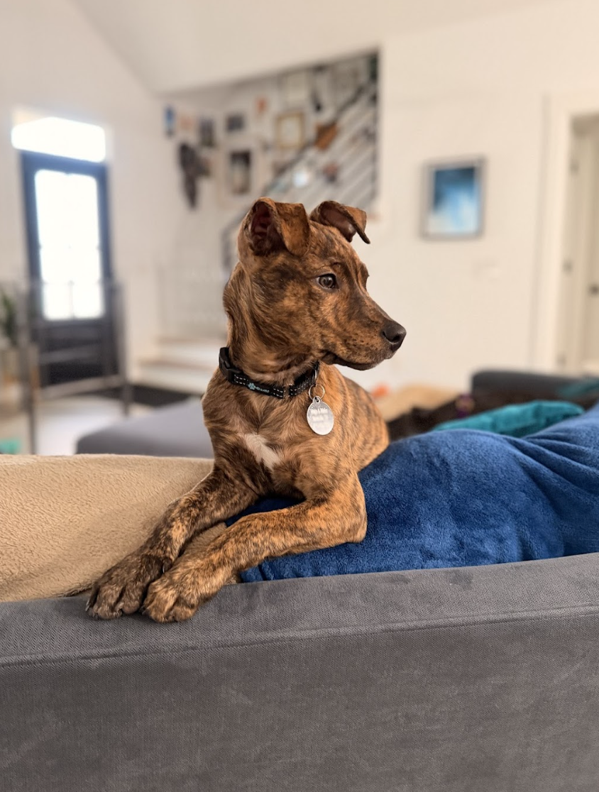 Screenshot 2026-01-14 at 9.22.56 PM.png