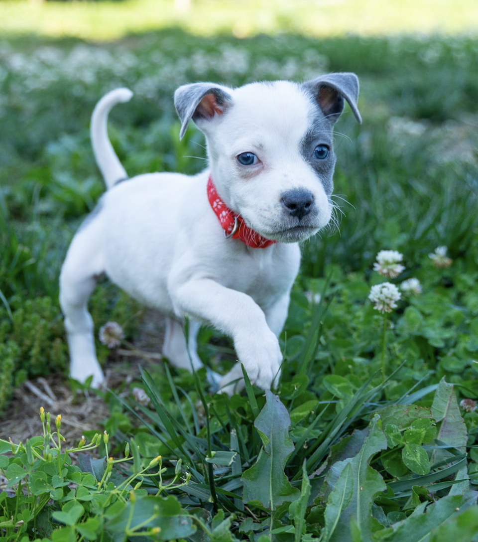 Screenshot 2026-04-23 at 2.16.22 PM.png