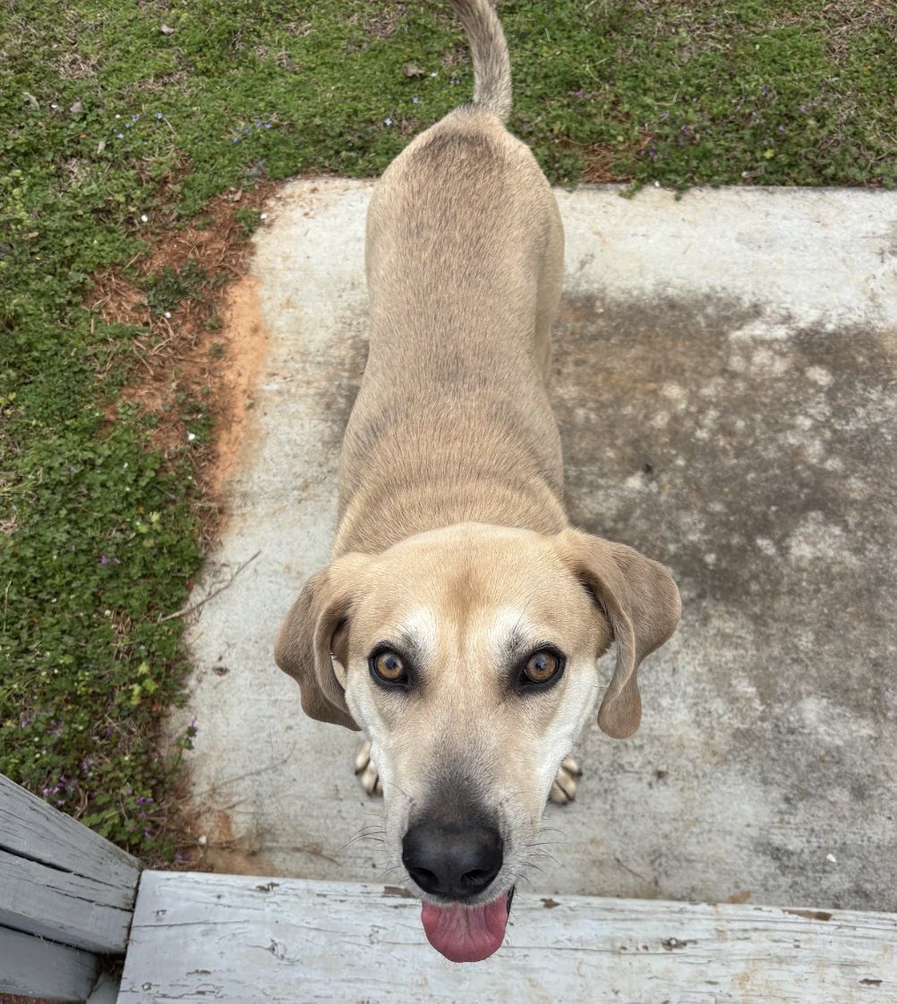 Screenshot 2026-03-19 at 4.13.13 PM.png