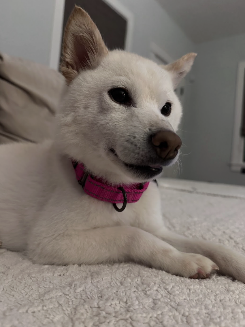 Screenshot 2026-03-21 at 2.08.05 PM.png