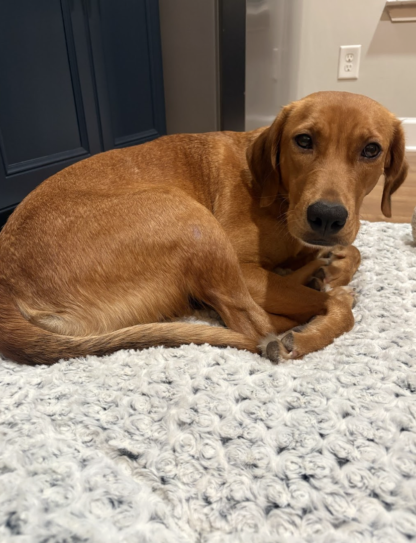 Screenshot 2026-01-14 at 6.56.27 PM.png