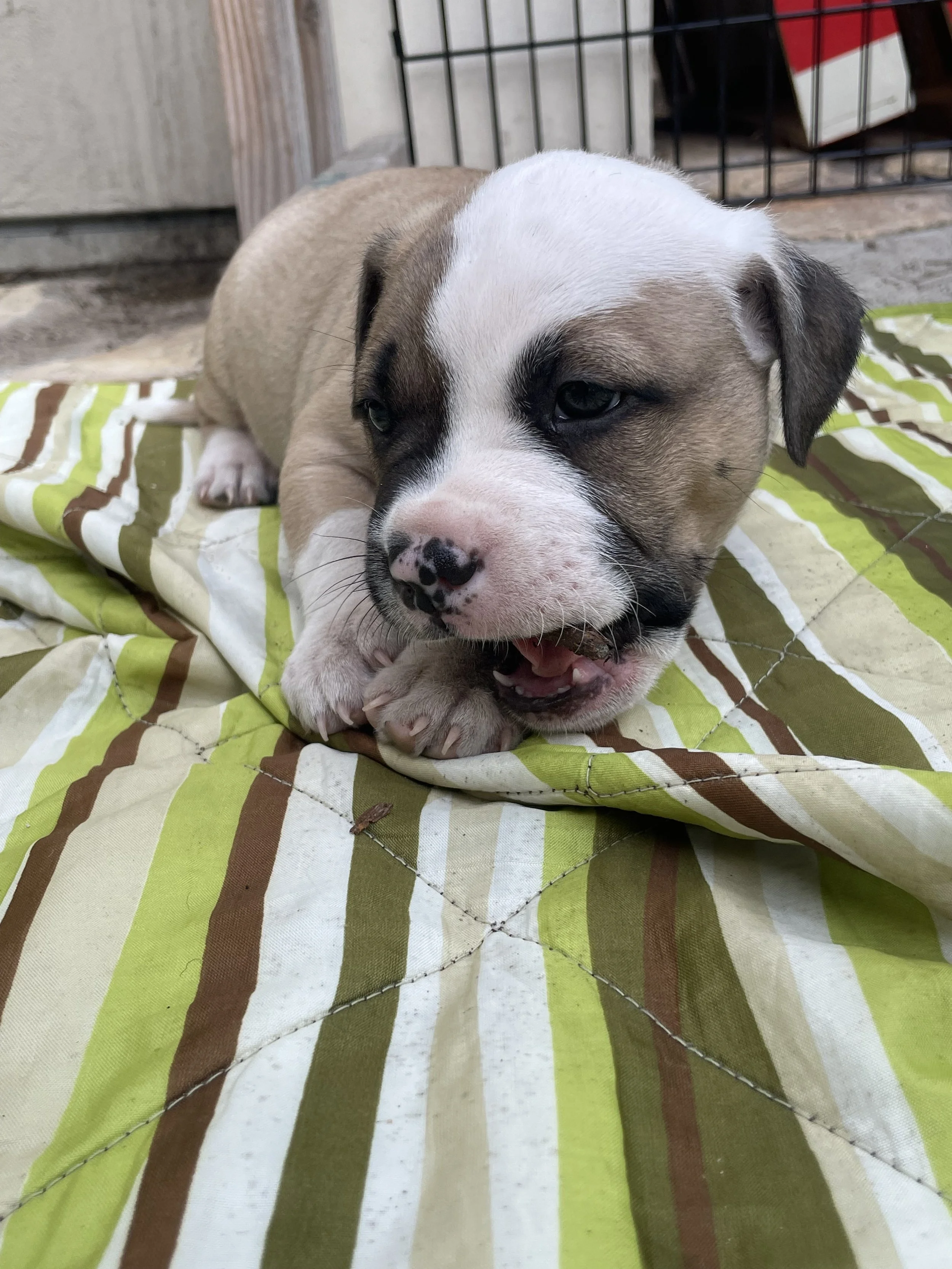 Photo Dec 22 2025, 2 15 17 PM.jpg