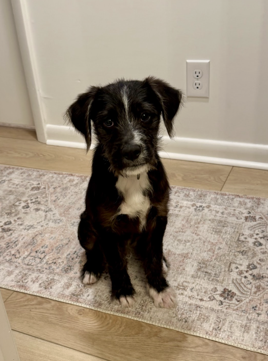 Screenshot 2026-02-27 at 1.06.00 PM.png