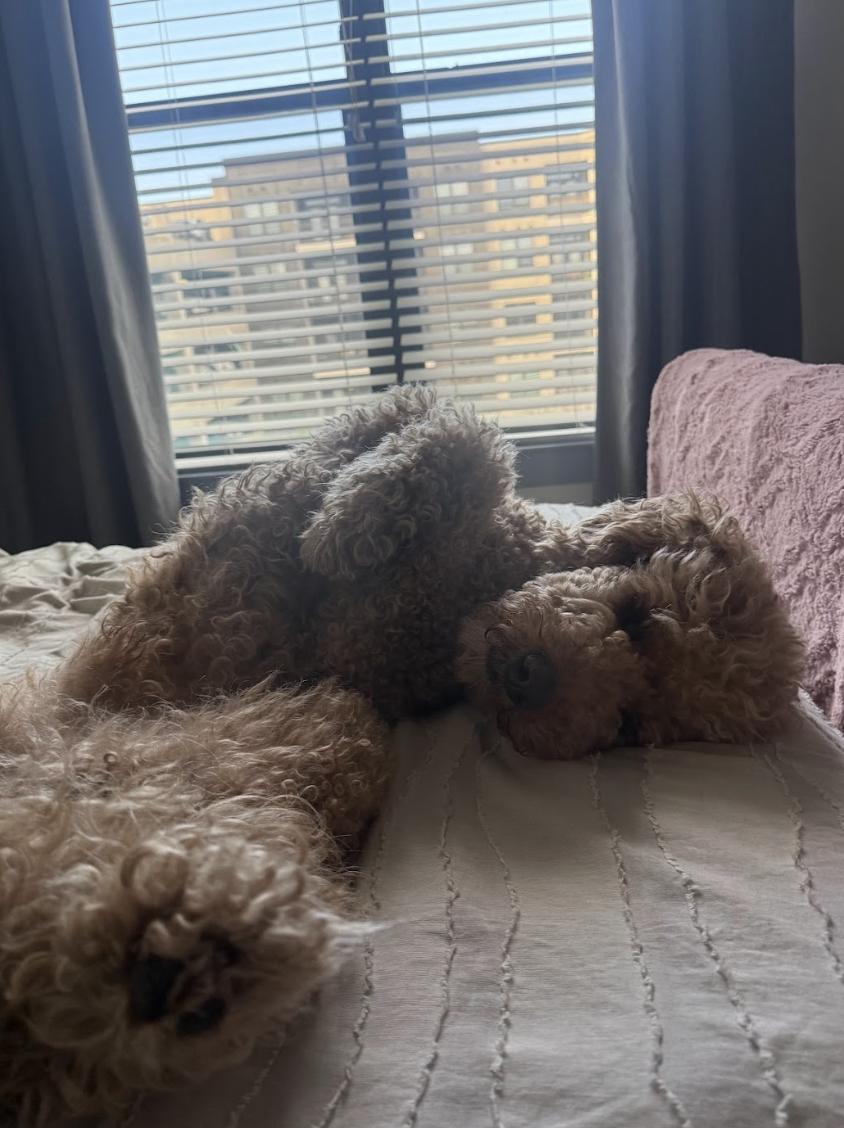 Screenshot 2026-01-20 at 2.20.07 PM.png